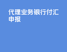 代理业务银行付汇申报
