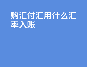 购汇付汇用什么汇率入账