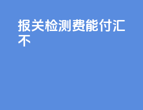报关检测费能付汇不