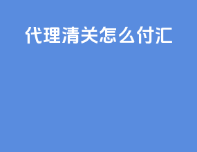 代理清关怎么付汇