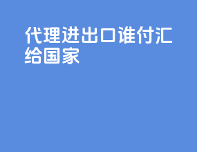 代理进出口谁付汇给国家