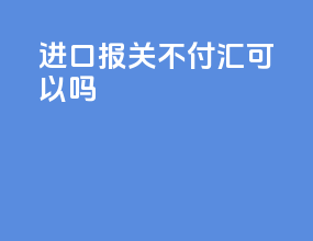 进口报关不付汇可以吗