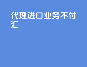 代理进口业务不付汇