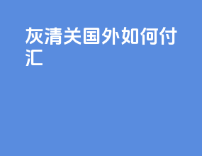 灰清关国外如何付汇