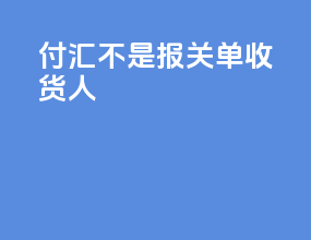 付汇不是报关单收货人