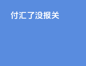 付汇了没报关