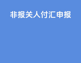 非报关人付汇申报