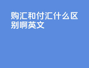 购汇和付汇什么区别啊英文