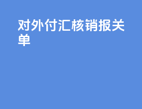 对外付汇核销报关单