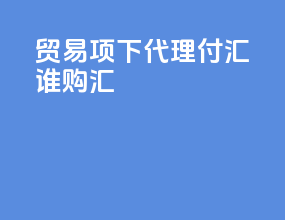 贸易项下代理付汇谁购汇