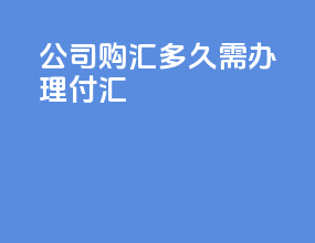公司购汇多久需办理付汇