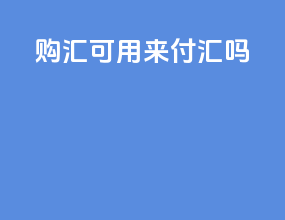 购汇可用来付汇吗