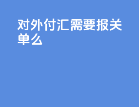 对外付汇需要报关单吗