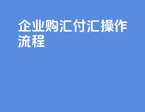 企业购汇付汇操作流程