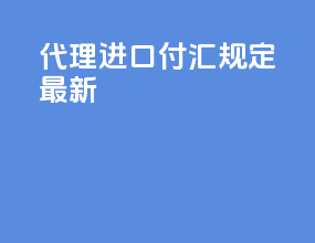 代理进口付汇规定最新