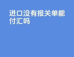 进口没有报关单能付汇吗