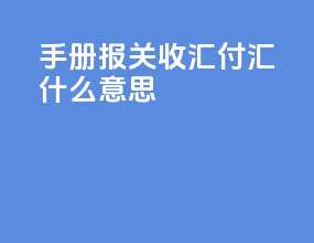 手册报关收汇付汇什么意思