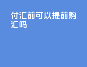 付汇前可以提前购汇吗