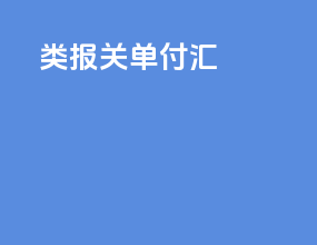c类报关单付汇