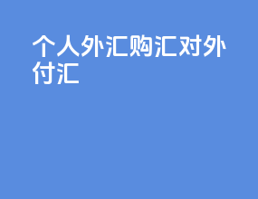 个人外汇购汇对外付汇