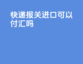 快递报关进口可以付汇吗