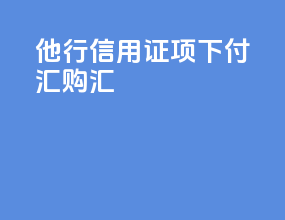 他行信用证项下付汇购汇
