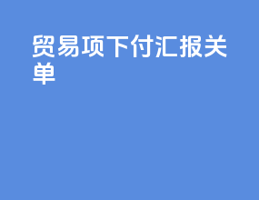 贸易项下付汇报关单