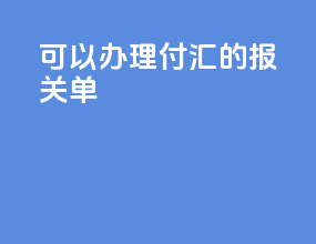 可以办理付汇的报关单