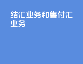 结汇业务和售付汇业务