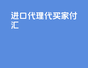进口代理代买家付汇