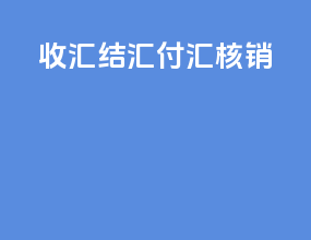 收汇 结汇 付汇 核销