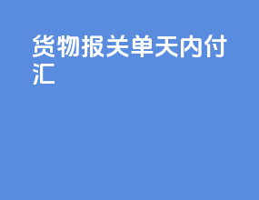 货物报关单90天内付汇