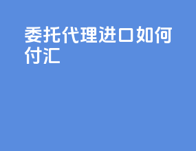委托代理进口 如何付汇