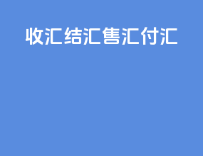 收汇 结汇 售汇 付汇