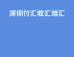 深圳付汇收汇结汇