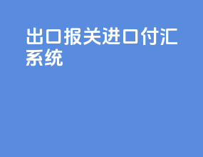 出口报关进口付汇系统