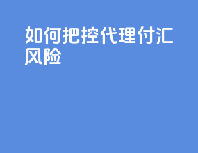 如何把控代理付汇风险
