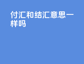 付汇和结汇意思一样吗