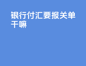 银行付汇要报关单干嘛
