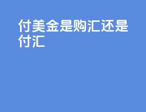 付美金是购汇还是付汇
