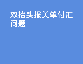 双抬头报关单付汇问题