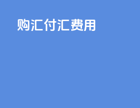 购汇付汇费用