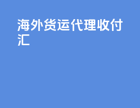 海外货运代理收付汇