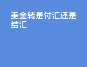 美金转RMB是付汇还是结汇