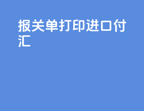 报关单打印进口付汇