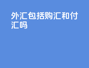 外汇包括购汇和付汇吗
