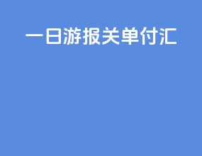 一日游报关单付汇