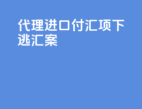 代理进口付汇项下逃汇案