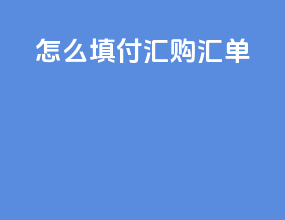怎么填付汇购汇单