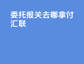委托报关去哪拿付汇联